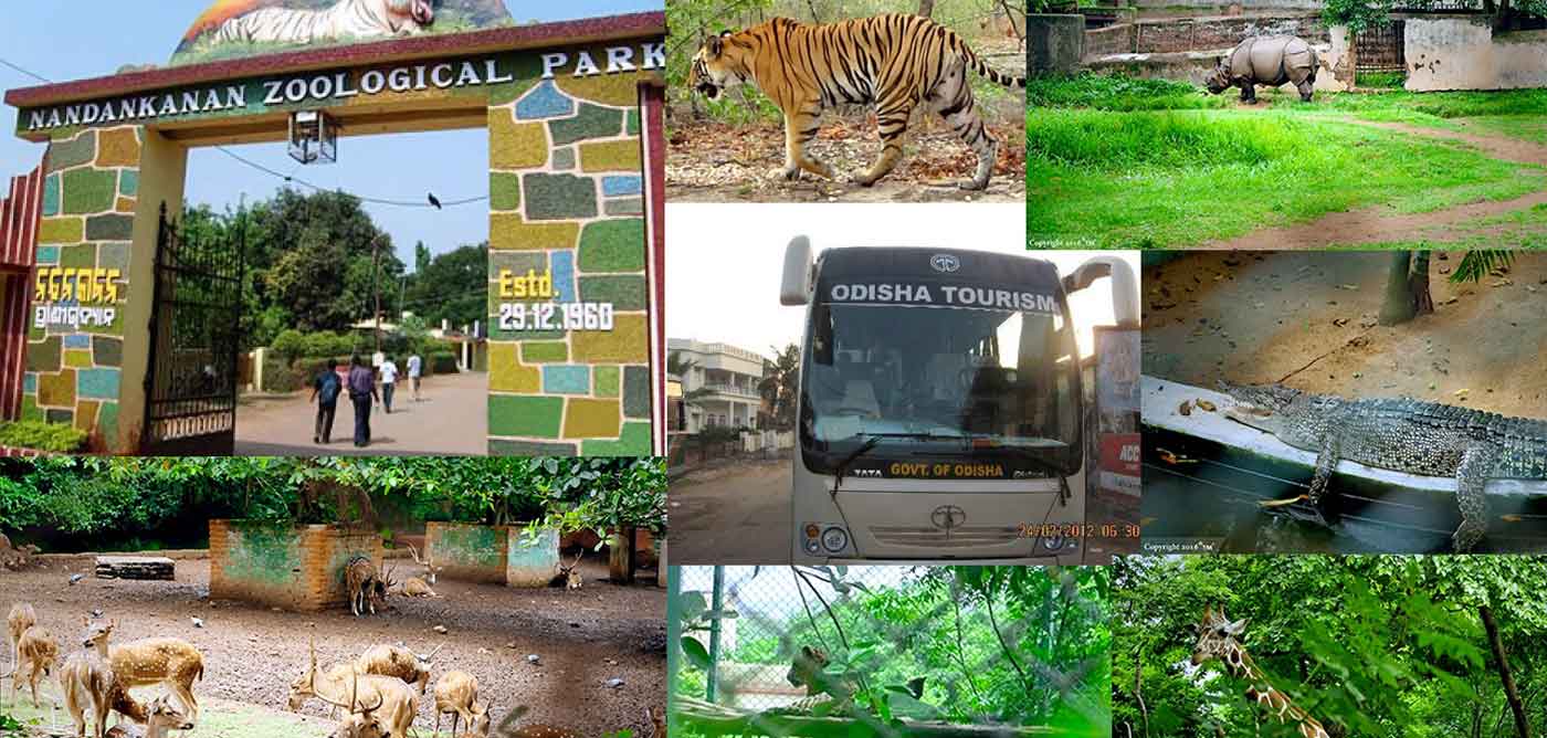 Nandankanan Zoological Park, Bhubaneswar
