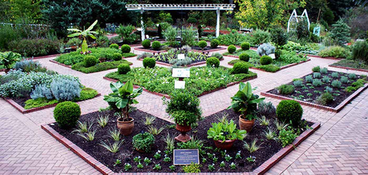 State Botanical Garden, Bhubaneswar