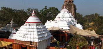Sakhi Gopal Temple